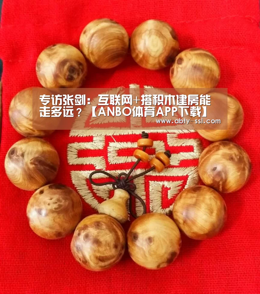 专访张剑:互联网+搭积木建房能走多远?【ANBO体育APP下载】(图3) 安博官方网站