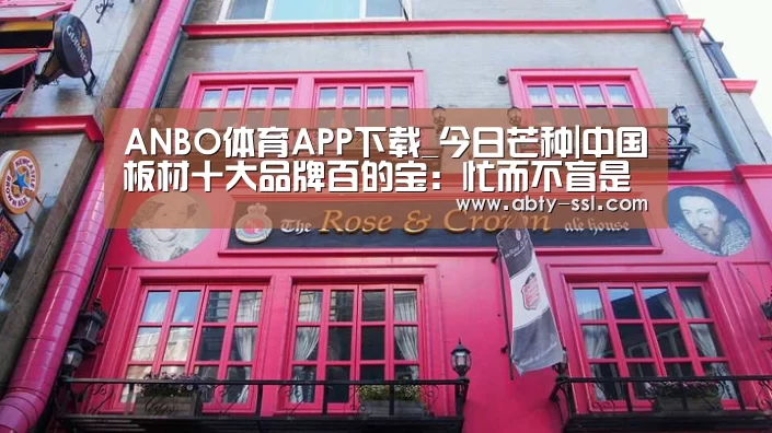 ANBO体育APP下载_今日芒种|中国板材十大品牌百的宝:忙而不盲是人生最好的状态(图3) ANBO体育APP下载